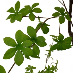 Tropaeolum speciosum træ i potte, 210cm, kunstig plante