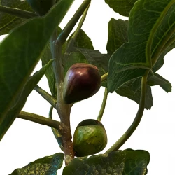 Figen træ m frugter, 95cm, kunstig plante