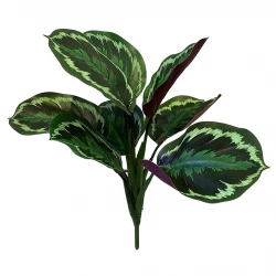 Calathea på stilk, 30cm, kunstig plante