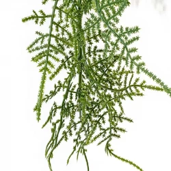 Slørasparges hænger, 100cm, kunstig plante
