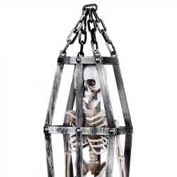 Skelet i bur, H:50cm