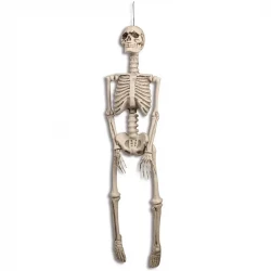 Skelet, halloween, 92 cm
