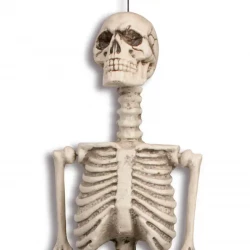Skelet, halloween, 92 cm