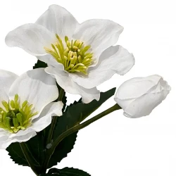 Julerose, Helleborus, hvid, 34cm, kunstig blomst