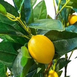 Citrontræ i potte, 120cm, 15 citroner, kunstig plante