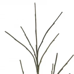 Dekorationstræ i potte, kan dekoreres med valgfri kviste