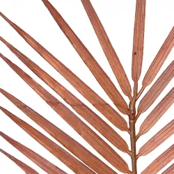 Palmeblad, kobber, 109cm, kunstigt blad