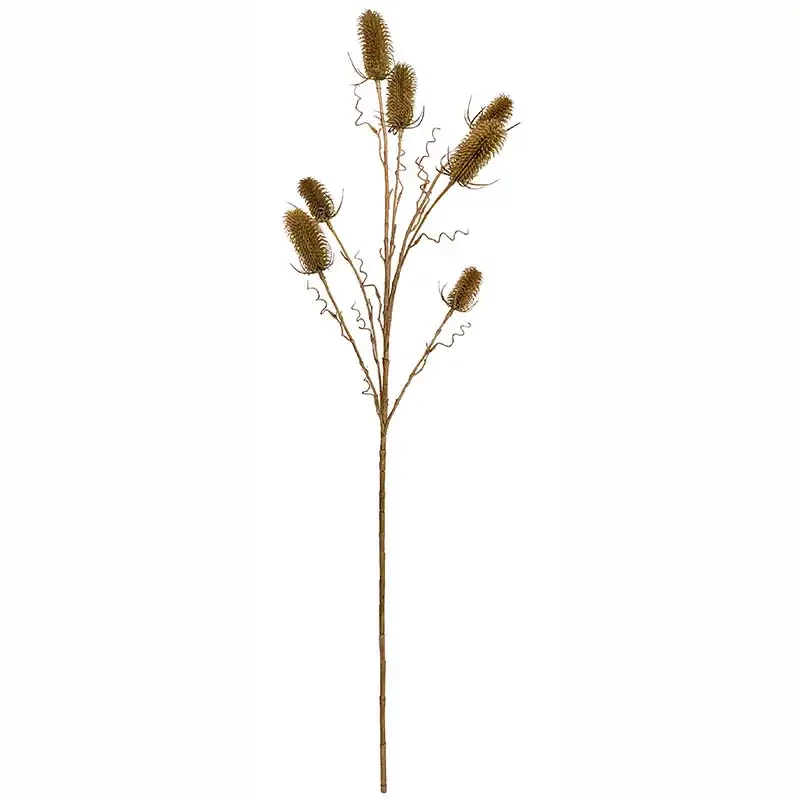 Kartebolle - Dipsacus sativus, grøn,105cm, 7 blomster, kunstig plante