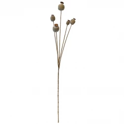 Valmuefrøkapsler, 75cm, beige, kunstig blomst