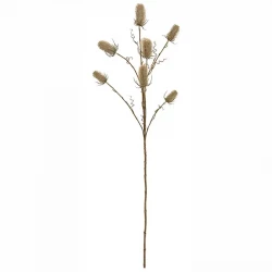 Kartebolle, 105cm, Dipsacus sativus, brun, kunstig gren