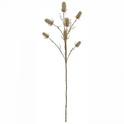 Kartebolle - Dipsacus sativus, beige, 105cm, 7 blomster, kunstig plante