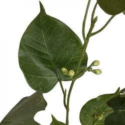 Hellig figen gren, 95cm, kunstig gren