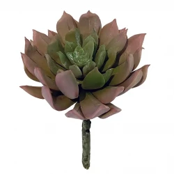 Sukkulent, Aeonium, 13cm, kunstig plante