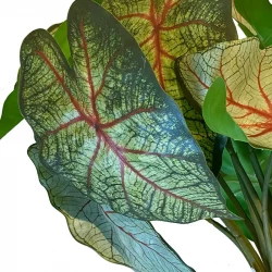 Vandplante m rødder, caladium, grøn, 40cm, kunstig plante