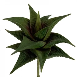 Stenurt, Aloe vera på stilk, 12cm, kunstig plante