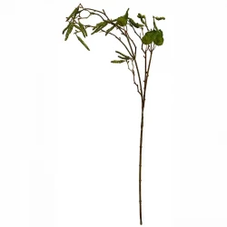 Birkegren med frø, 70cm, kunstig plante