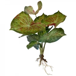 Vandplante m rødder, caladium, 40cm, kunstig plante