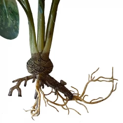 Vandplante m rødder, caladium, 40cm, kunstig plante