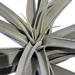 Tillandsia på stilk, Luftplante, 40cm, kunstig plante