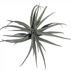 Tillandsia på stilk, Luftplante, 40cm, kunstig plante