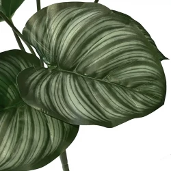 Calathea på stilk, kunstig plante