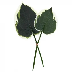 Hosta blade, 2 stk, grøn og hvid, kunstig blade