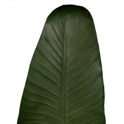 Bananblad 110cm, kunstig blad