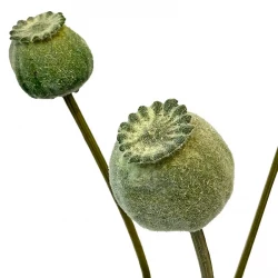 Valmue på stilk, grøn, 59cm, kunstig blomst