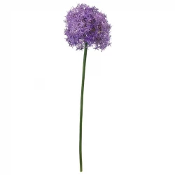 Prydløg, XL, 79cm, allium, (Purple Sensation), Kunstig blomst