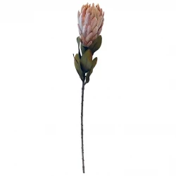 Protea, 62 cm, kunstig blomst