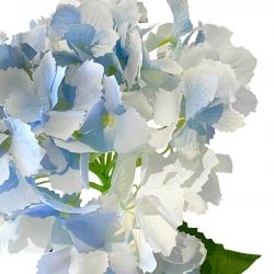 Hortensia, blå, 52cm, kunstig blomst