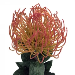 Protea blomst, 74cm Gul/Orange, Kunstig blomst