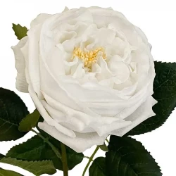 Rose på stilk, hvid, 60cm, kunstig blomst