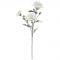 Asters på stilk, hvid, 70cm, kunstig blomst