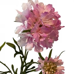 Skabiosa blomst, lyserød, 77cm, kunstig blomst