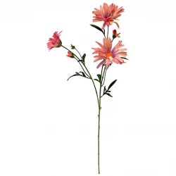 Asters på stilk, fersken, 70cm, kunstig blomst