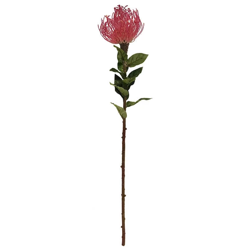 Protea blomst, 74cm Orange/Rød, Kunstig blomst