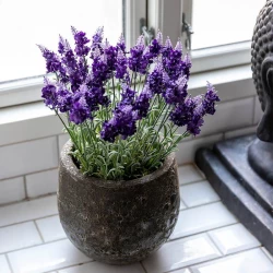 Lavendel buket, 40cm, Kunstig plante