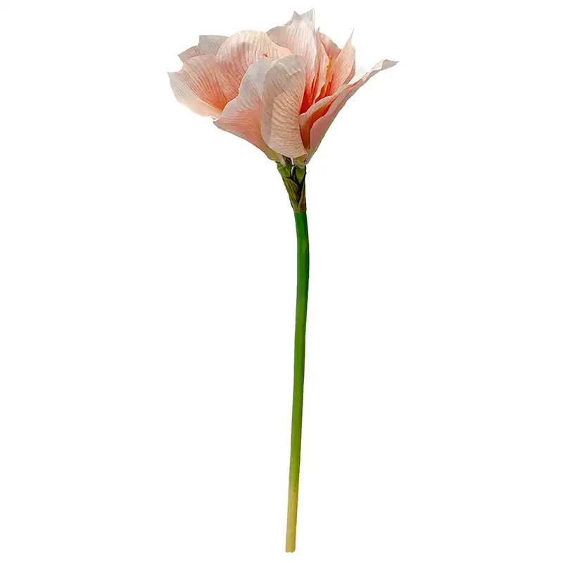 Amaryllis, fersken, 60cm, kunstig blomst