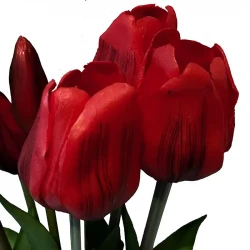 Tulipanbuket, 47cm med 7 blomster Rød, kunstig blomst