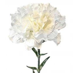 Nellike på stilk, 67cm, hvid, kunstig blomst