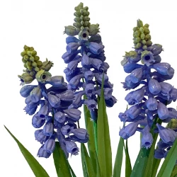 Perlehyacint, 4 stk, blå, 28 cm, kunstig blomst