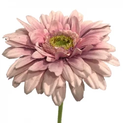 Gerbera, 48cm Rosa/Laksefarvet, kunstig blomst