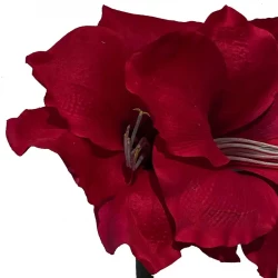 Amaryllis, rød, 99cm, kunstig blomst