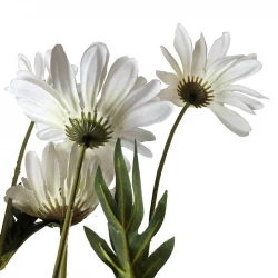 Marguerit m 4 blomster, 78cm, kunstig blomst