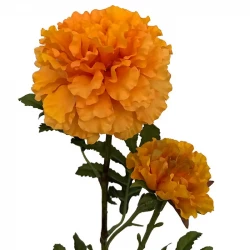 Fløjlsblomst, m 2 hoveder, 64cm, lys orange, kunstig blomst