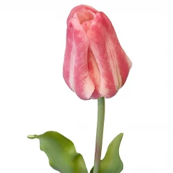 Tulipan, pink, 48 cm, kunstig blomst