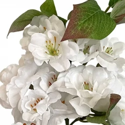 Æblegren, hvid blomst, 80cm, kunstig gren