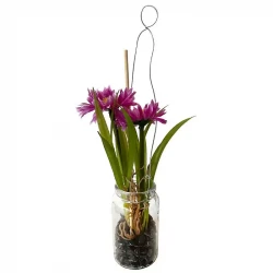 Marguerit i glas, 24cm, pink, kunstig blomst