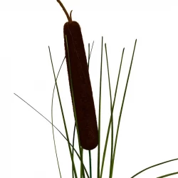 Dunhammer, 90cm, kunstig plante